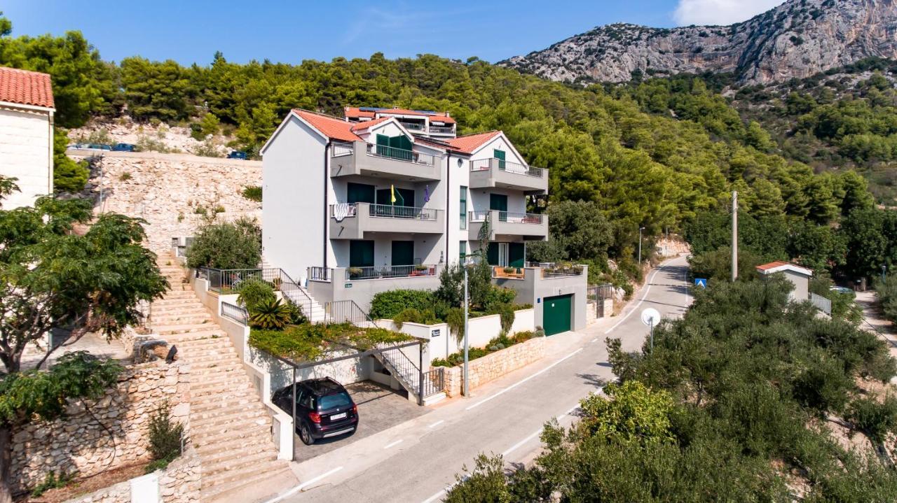 Apartment Maslina *